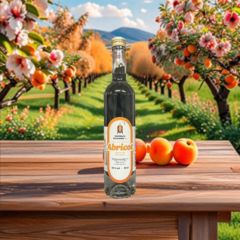 Abricot 50 cl